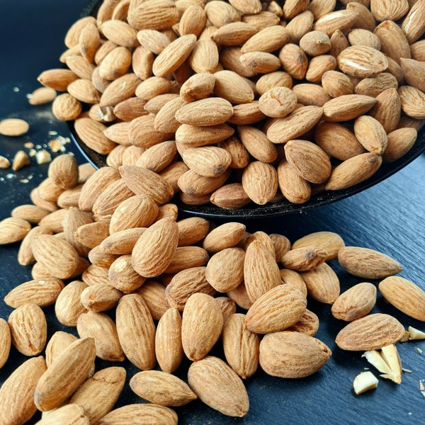 Sēklas